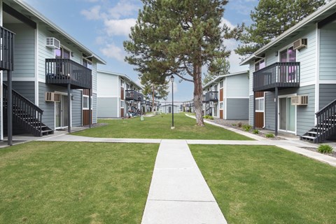 our apartments have a spacious courtyard with grass and trees